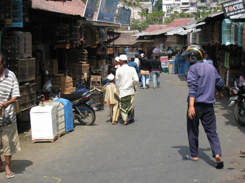 2007 07 14 BALI 018.jpg